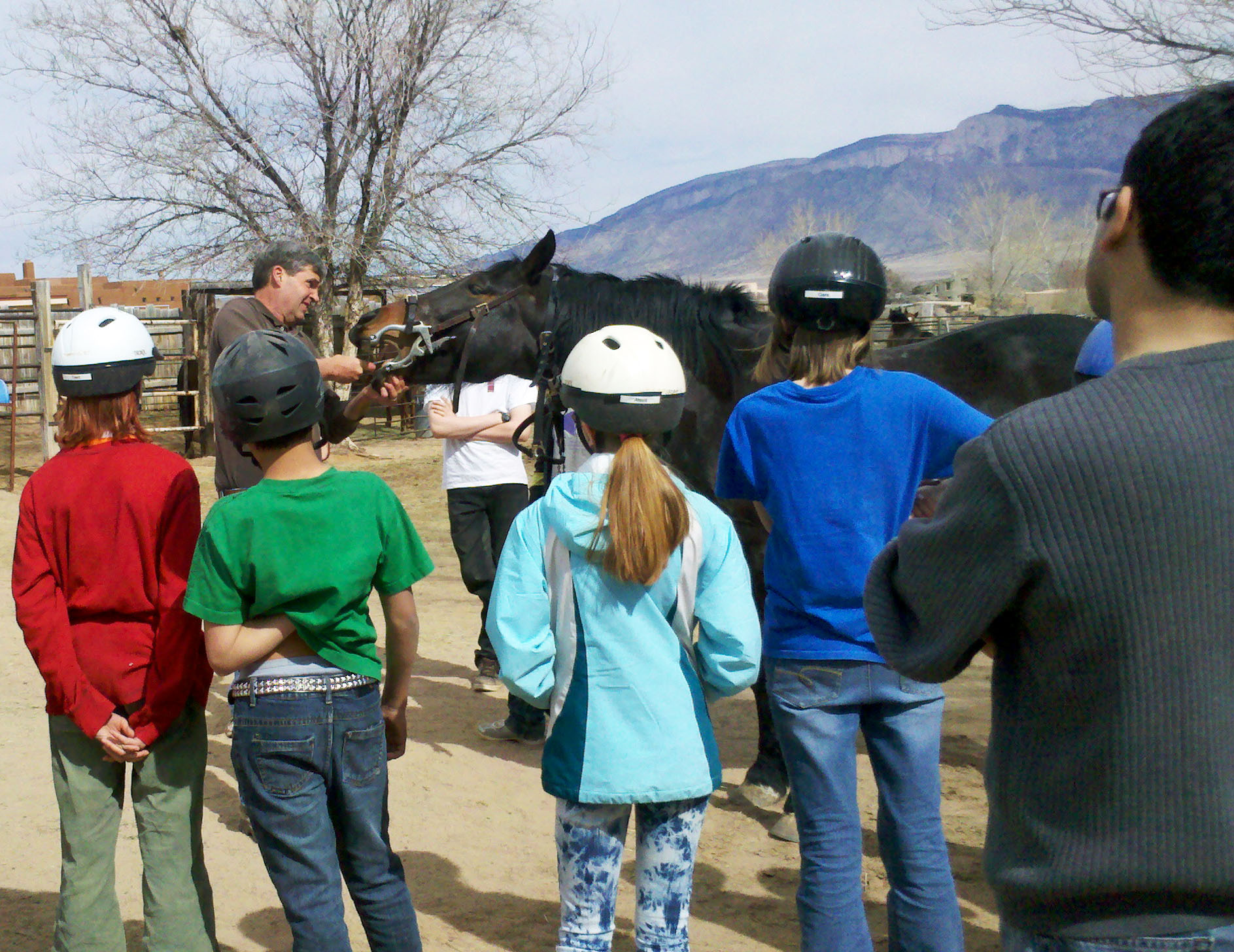 A visit from the vet